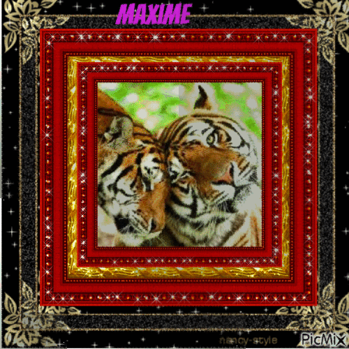 Tigres amoureux 3 - GIF animado gratis