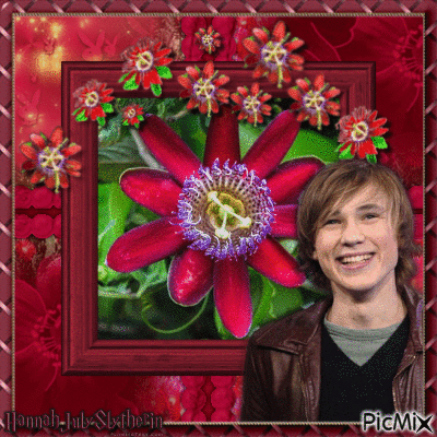 ♦☼♦William Moseley & Red Passion Flower♦☼♦ - Darmowy animowany GIF
