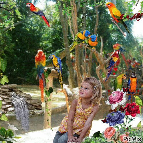 L'arbre aux perroquets - Besplatni animirani GIF
