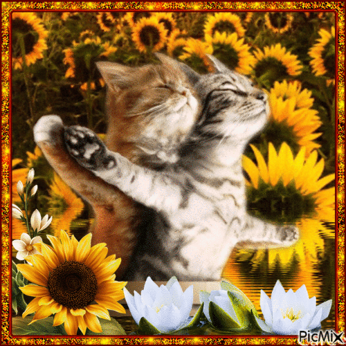 Zwei Katzen und Blumen - GIF animado gratis