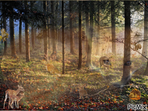 les animaux de la forêt - Безплатен анимиран GIF