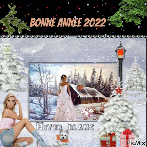 Bonne Annee - Бесплатный анимированный гифка