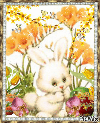 Little miss hare. - Gratis animeret GIF