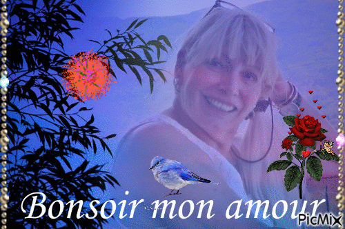 Bonsoir Mon Amour - Free animated GIF