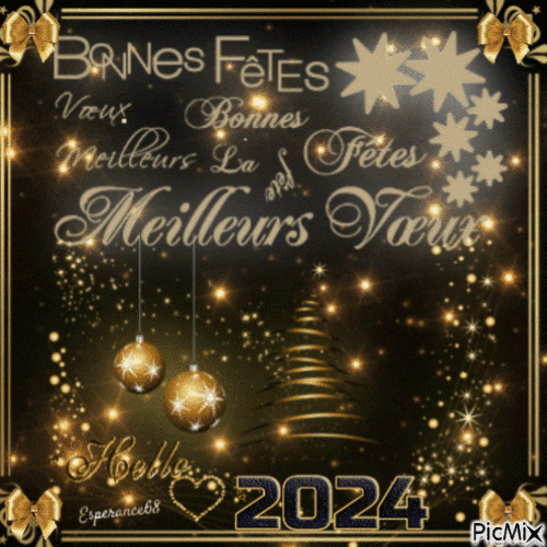 ꧁Mes voeux 2024 pour vous꧂ - Darmowy animowany GIF