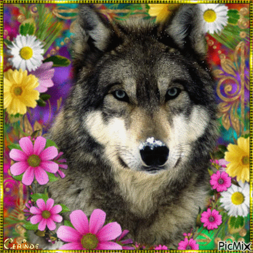 wolf and flowers - GIF animate gratis