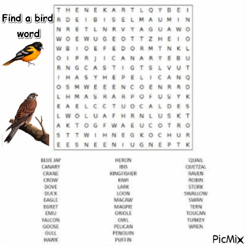 Bird word search - GIF animado gratis