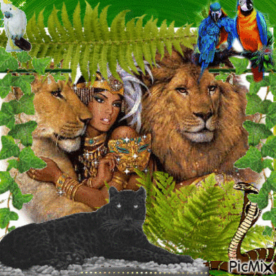 lion - Darmowy animowany GIF