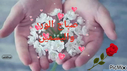 صباح الورد واليسمين - GIF animasi gratis