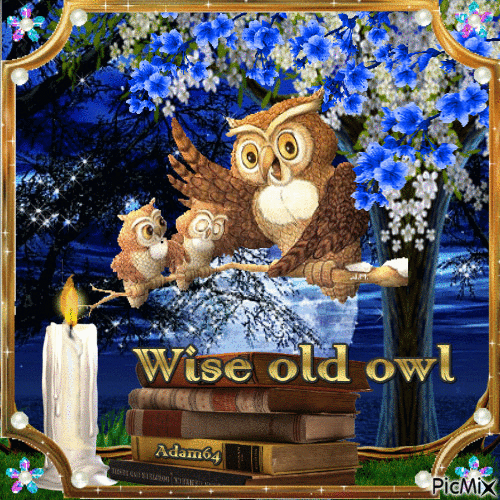 Wise old owl - Free animated GIF