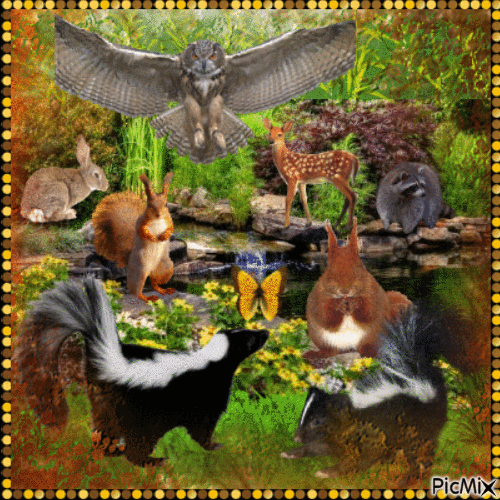 Nature-Forest Animals - Free animated GIF - PicMix