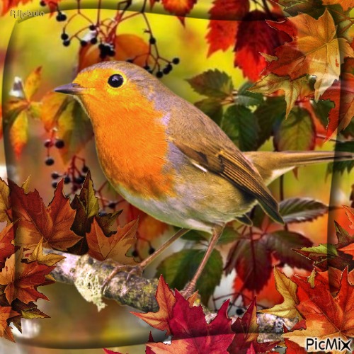 Birds in autumn - png ฟรี
