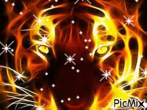 tigre de feu - GIF animé gratuit