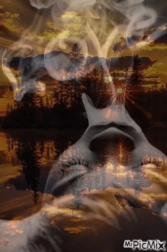 mrgeekyle - Darmowy animowany GIF