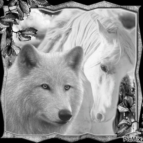 loup et cheval - Free animated GIF