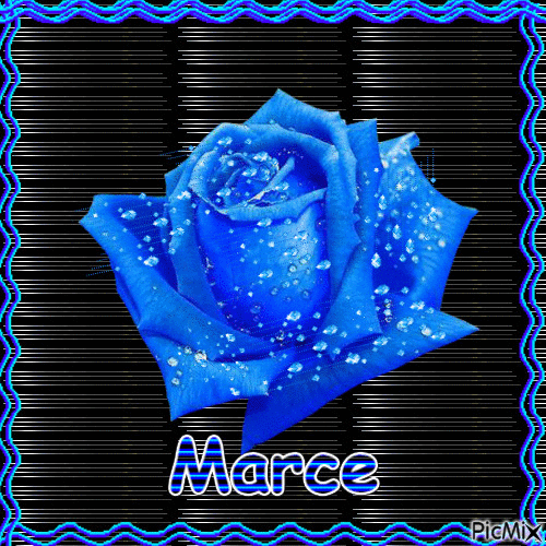 Mi Rosa blue - Darmowy animowany GIF
