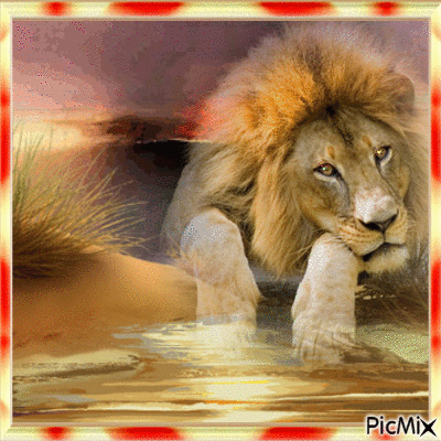 the king of the jungle - Free animated GIF