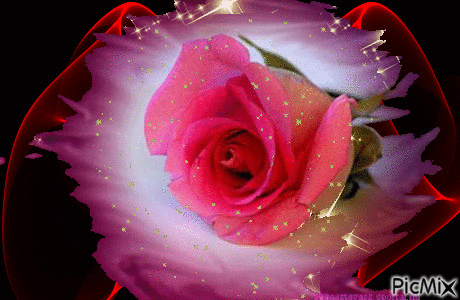 rózsa   1 - Ingyenes animált GIF