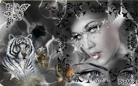 La Reine des Tigres - 無料のアニメーション GIF