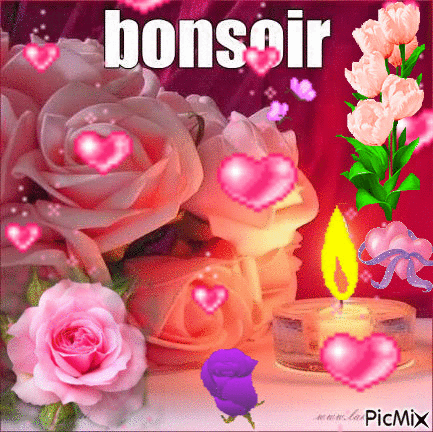 Bonsoir les ami(es) - Бесплатный анимированный гифка