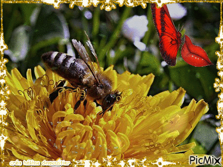 HD fleur jaune et lèvres papillon - GIF animé gratuit