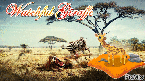giraffe - Darmowy animowany GIF