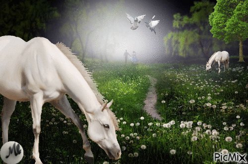 Dos caballos blancos en la noche - GIF animado gratis