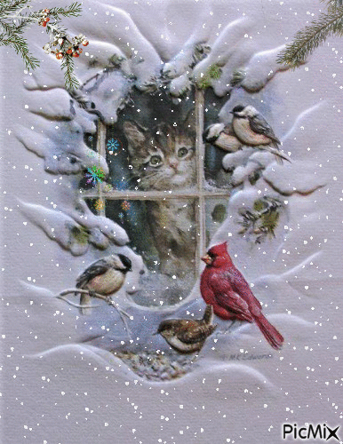 snowy kitten - GIF เคลื่อนไหวฟรี