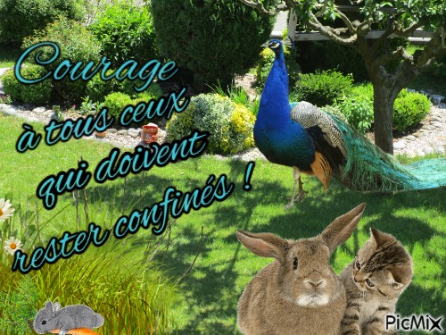 Courage - png gratuito