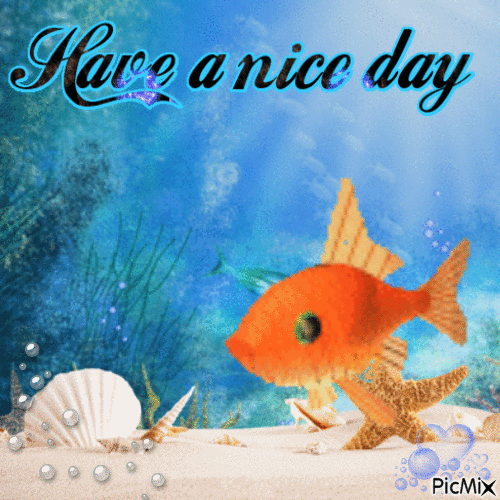 have a fishy day - GIF animate gratis