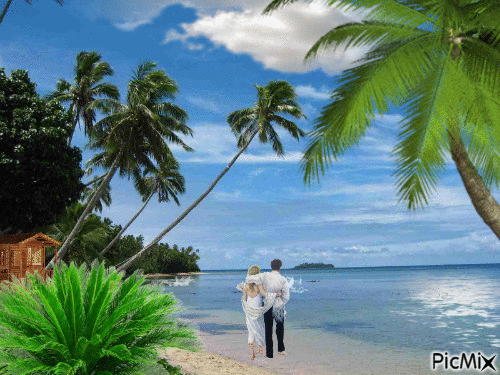 Tropical Luv - 無料のアニメーション GIF
