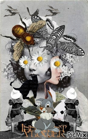 Collage - Free animated GIF