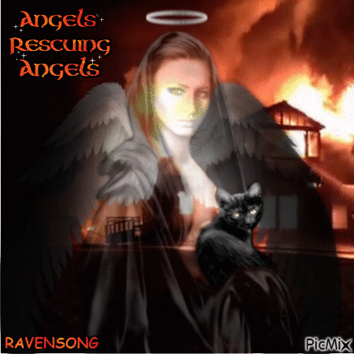 Angels Rescuing Angels - Gratis animerad GIF