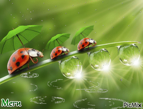 дъжд - Ingyenes animált GIF