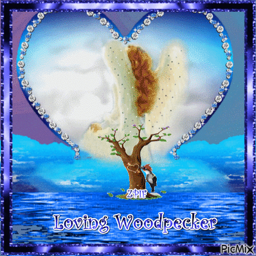 Loving Woodpecker - GIF เคลื่อนไหวฟรี