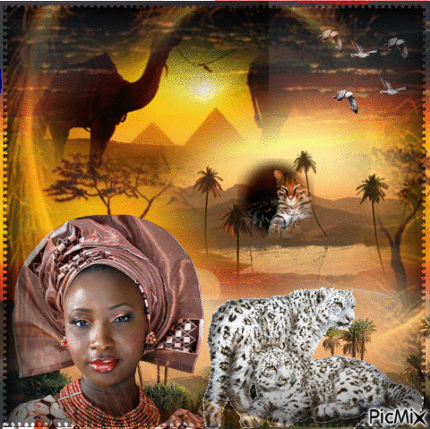 AFRIQUE - Animovaný GIF zadarmo