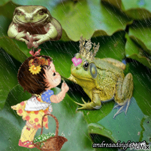 la reine grenouille - 無料のアニメーション GIF