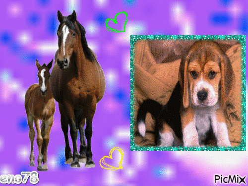 chiens et chevaux - GIF animado grátis