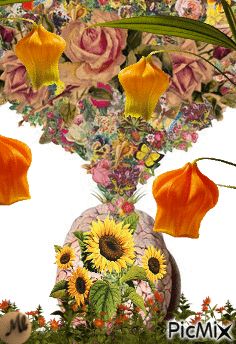 Collage de flores - GIF animasi gratis