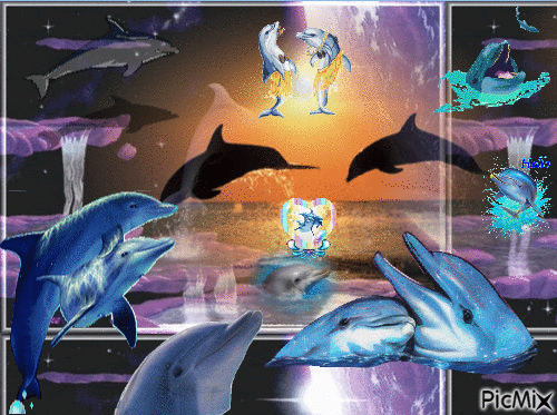 le dauphin - Ilmainen animoitu GIF