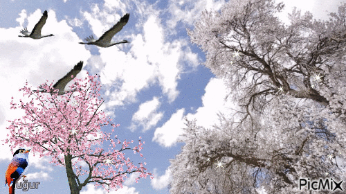 1 nisan 2019 ptzsi ub.yl - Darmowy animowany GIF