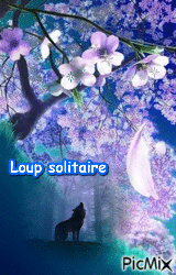 loup 4 - 免费动画 GIF