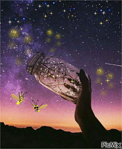 Catching Fireflies - Ilmainen animoitu GIF