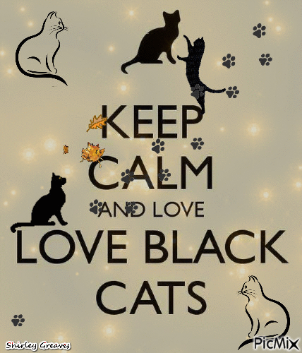 Black cats - GIF เคลื่อนไหวฟรี