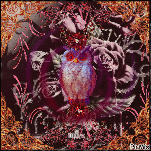 the owl gothic - Gratis animerad GIF