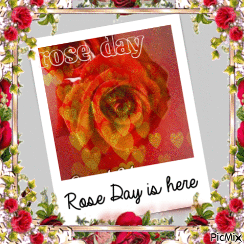 Rose Day   roos - GIF animado grátis