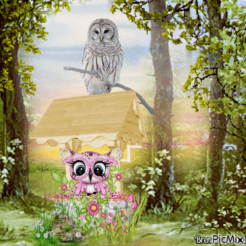 owl - GIF animado grátis