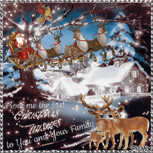 From me the best Christmas Wishes to You and Your Family - Free animated  GIF - PicMix