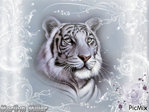 Classy Tiger - Free animated GIF