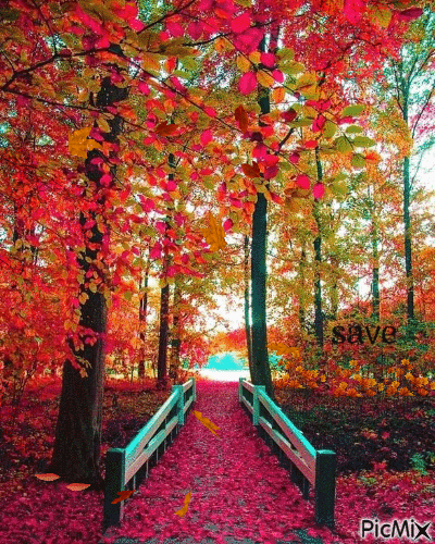 bosque rojo - Besplatni animirani GIF